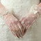 Guante de boda Lazos Short Translucent Encaje Full finger Ivory