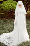 Vestido de novia Corte-A Alto cubierto Con velo largo Encaje Escote con cuello Alto - Página 1
