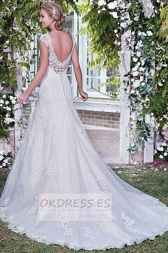 Vestido de novia Corte-A Encaje Sin mangas Moderno Escote en V Pera 3