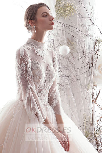 Vestido de novia Corte-A primavera tul Cordón Transparente Natural 8