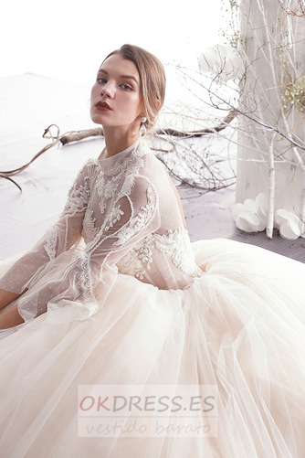 Vestido de novia Corte-A primavera tul Cordón Transparente Natural 4