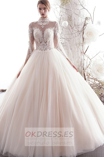 Vestido de novia Corte-A primavera tul Cordón Transparente Natural 2