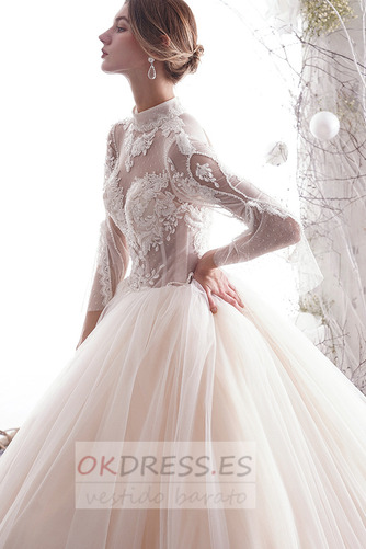 Vestido de novia Corte-A primavera tul Cordón Transparente Natural 5