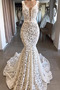 Vestido de novia Corte Sirena Pera Baja escote en V Encaje Natural Fuera de casa - Página 1
